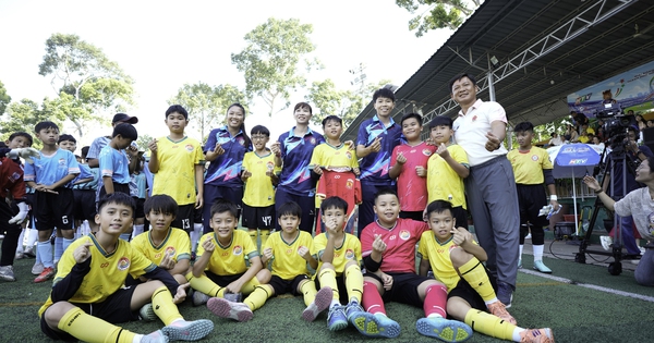 Giải bóng đá Thiếu niên – Nhi đồng Cúp HTV 2026: Thắp sáng ước mơ sân cỏ cùng NEW88 - hình ảnh - new88com.vip