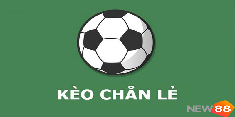 Cách đặt kèo chẵn lẻ: Bí quyết soi kèo hiệu quả cho người mới New88 - hình ảnh - new88com.vip Cách đặt kèo chẵn lẻ: Bí quyết soi kèo hiệu quả cho người mới New88 - hình ảnh - new88com.vip