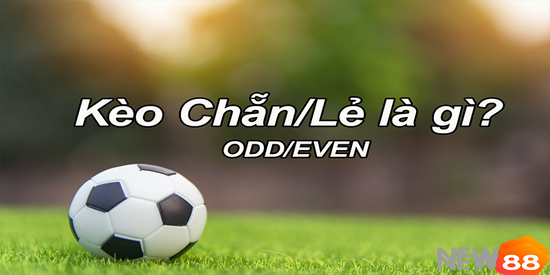 Cách đặt kèo chẵn lẻ: Bí quyết soi kèo hiệu quả cho người mới New88 - hình ảnh - new88com.vip Cách đặt kèo chẵn lẻ: Bí quyết soi kèo hiệu quả cho người mới New88 - hình ảnh - new88com.vip